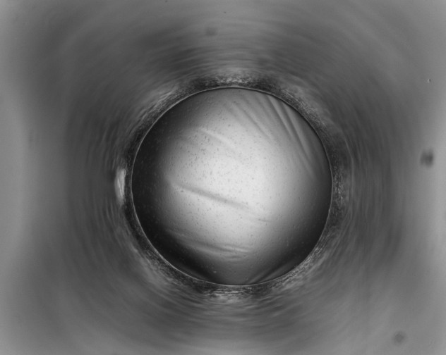 X0000097960070200804071042