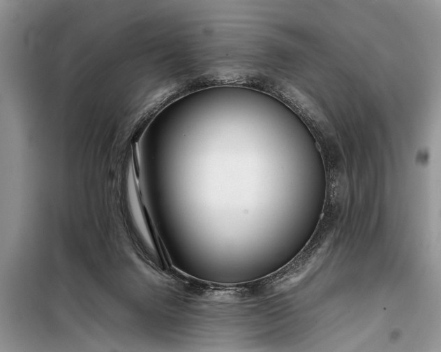 X0000097960072200804071042