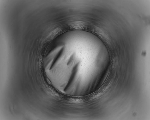 X0000097960073200804071042