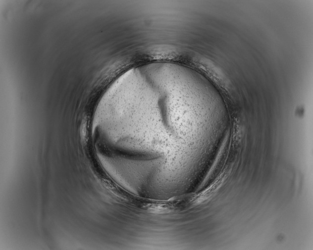 X0000097960074200804071042