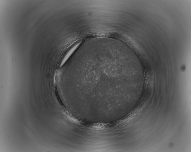 X0000097960076200804071042