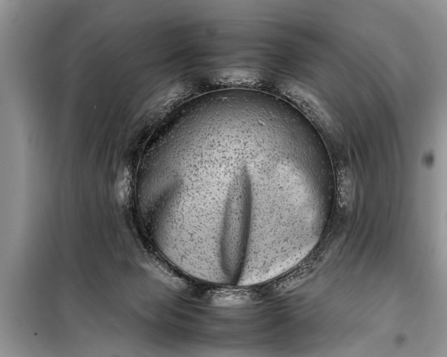 X0000097960077200804071042