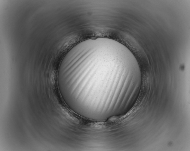 X0000097960078200804071042