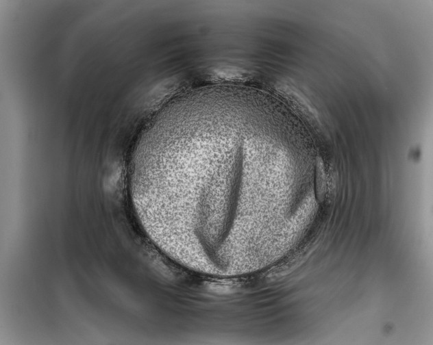 X0000097960079200804071042