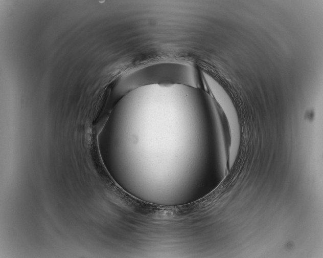 X0000097960080200804071042