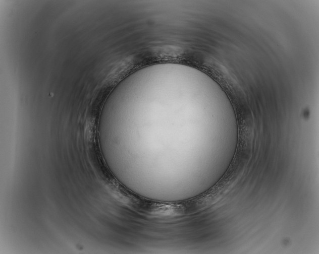 X0000097960083200804071043