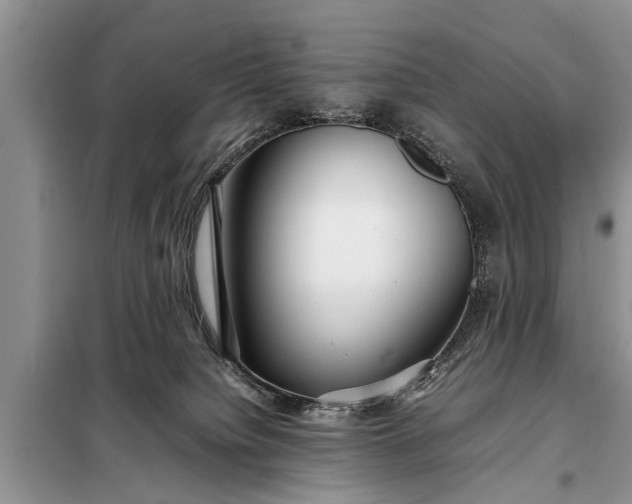 X0000097960084200804071043