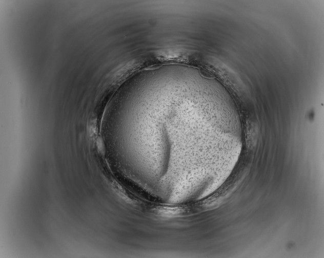 X0000097960085200804071043
