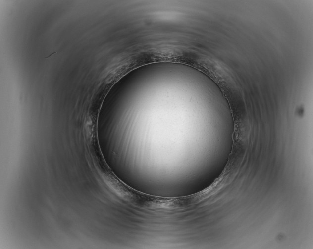 X0000097960086200804071043