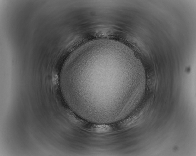 X0000097960087200804071043