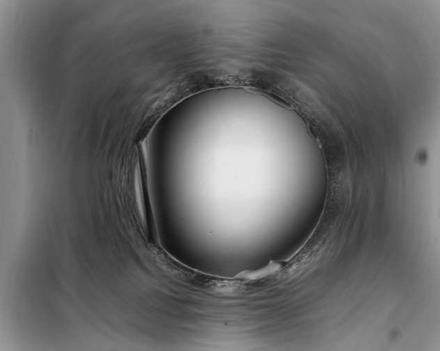 X0000097960088200804071043