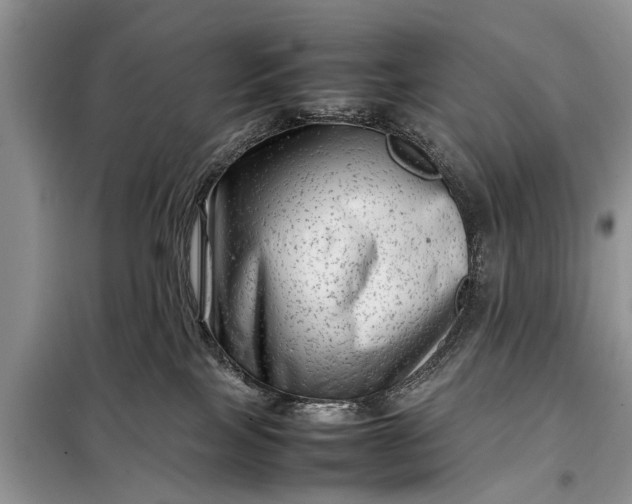 X0000097960089200804071043