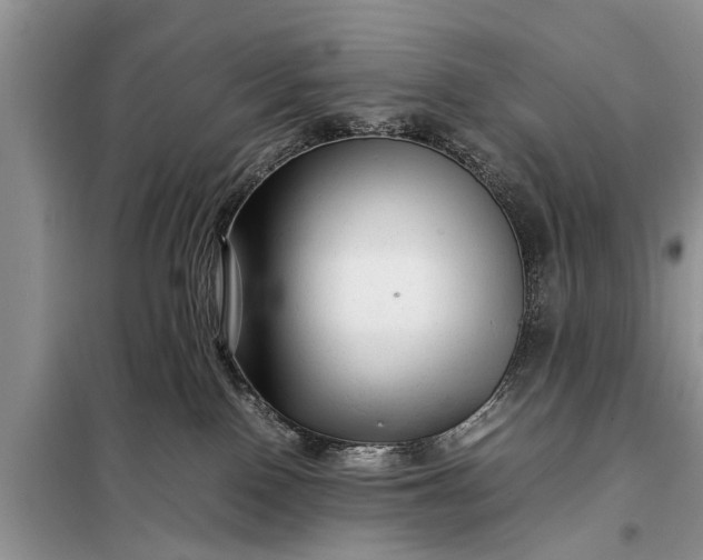 X0000097960090200804071043