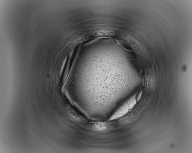 X0000097960091200804071043