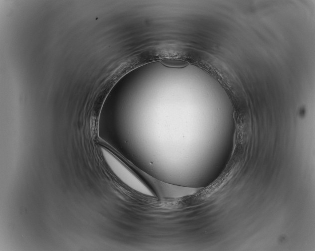 X0000097960093200804071043