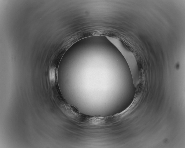 X0000097960094200804071043