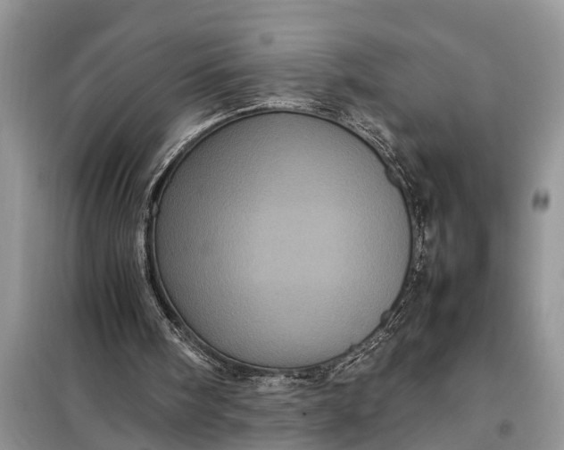 X0000097960098200804071042