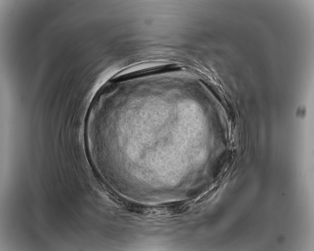X0000097960099200804071042