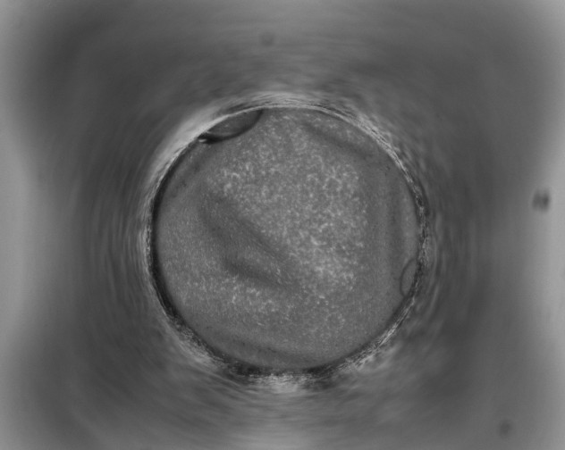 X0000097960103200804071042