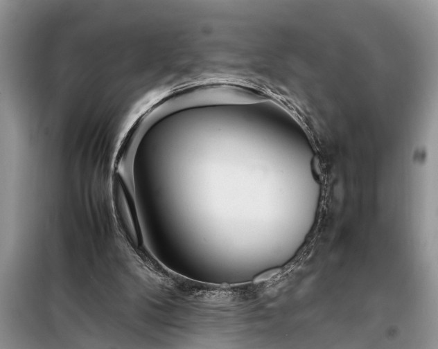 X0000097960104200804071042