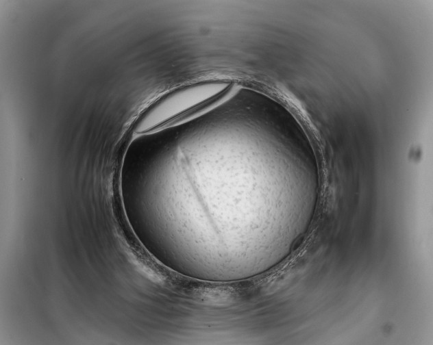 X0000097960106200804071042
