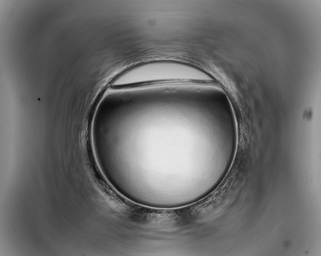 X0000097960107200804071042