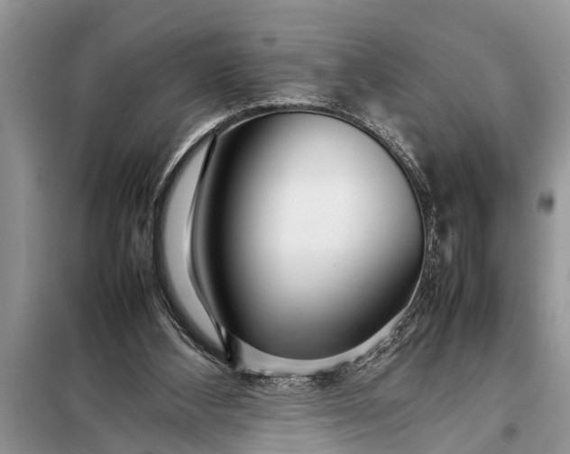 X0000097960108200804071042