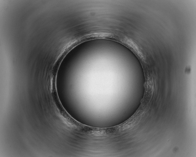 X0000097960110200804071042