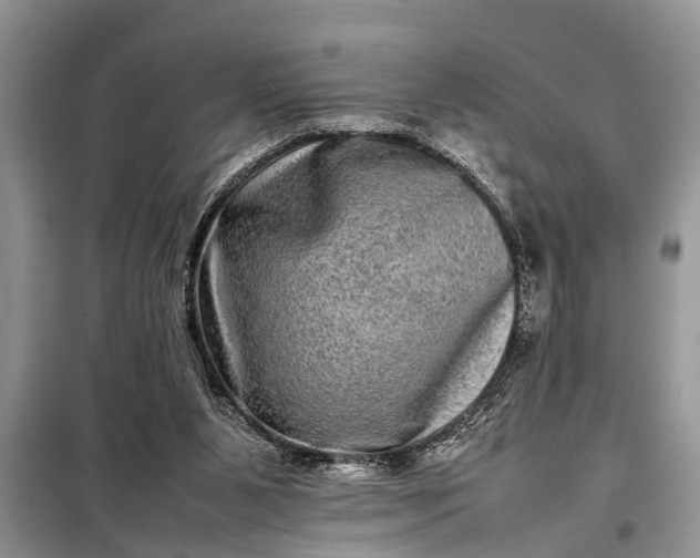 X0000097960111200804071042