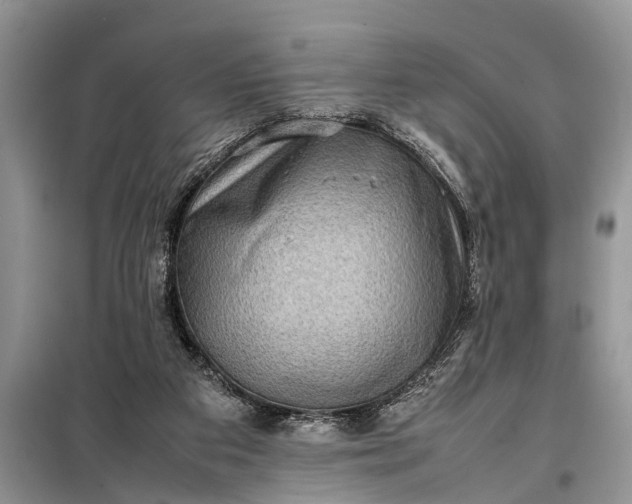X0000097960113200804071042