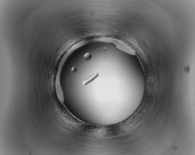 X0000097960116200804071041