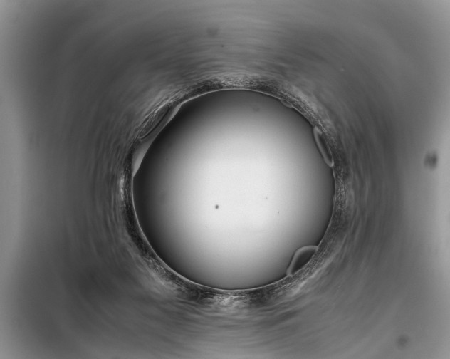 X0000097960117200804071041