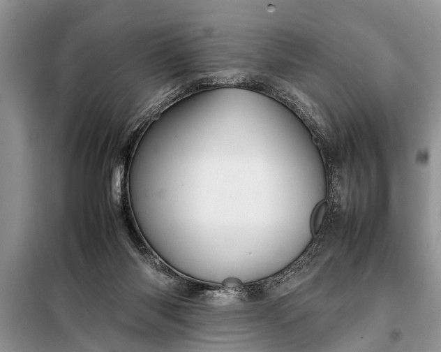 X0000097960118200804071041