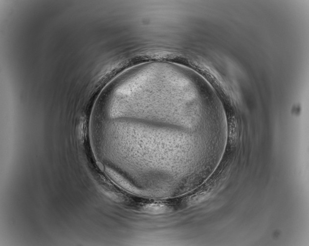 X0000097960119200804071041