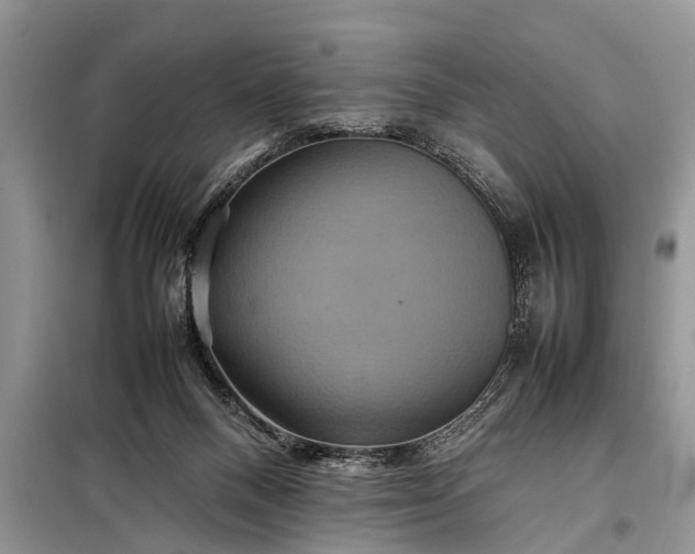 X0000097960120200804071041