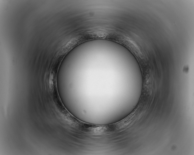 X0000097960122200804071041