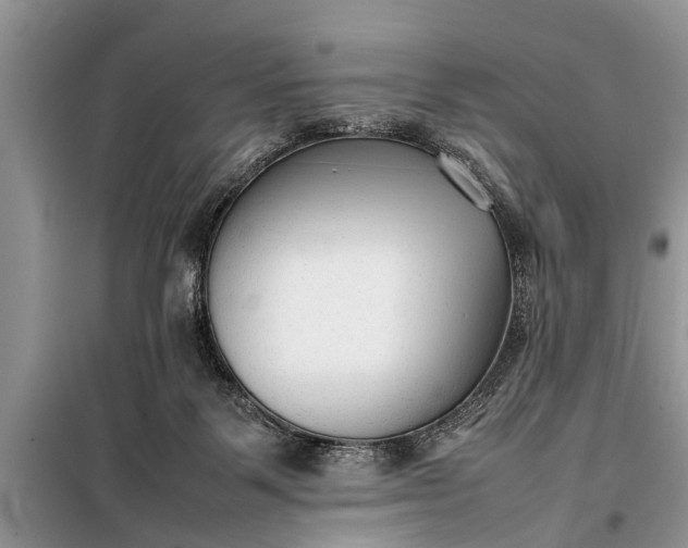 X0000097960123200804071041