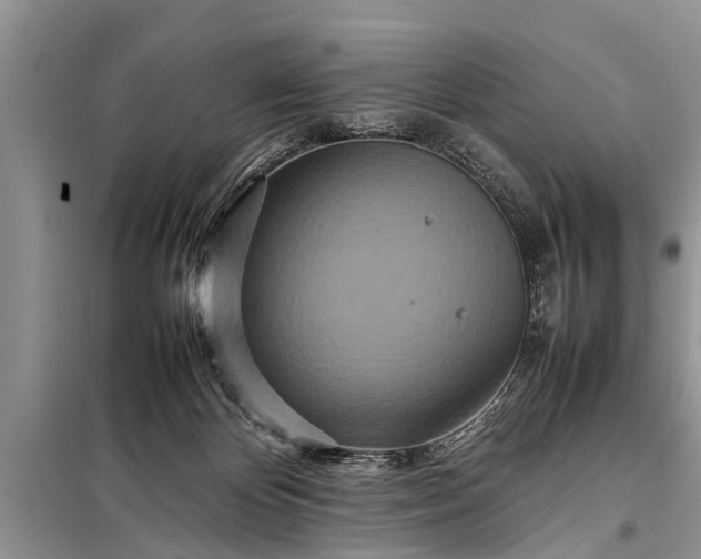 X0000097960124200804071041