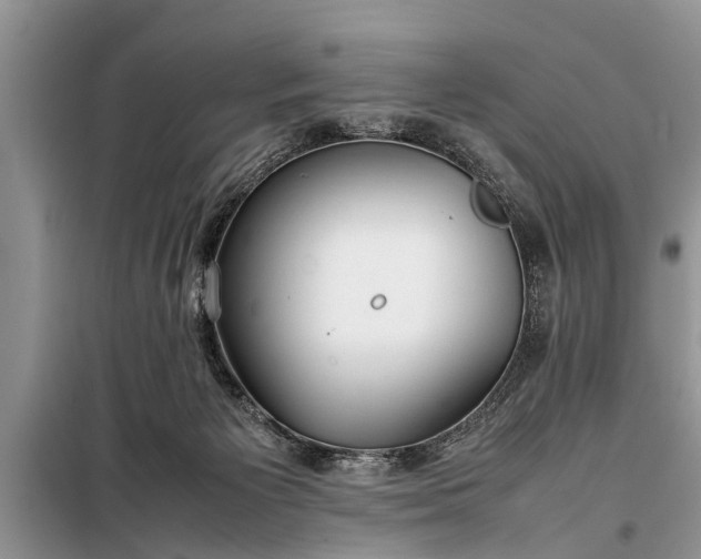 X0000097960125200804071041