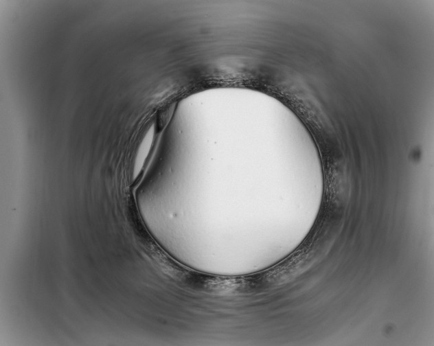 X0000097960131200804071041