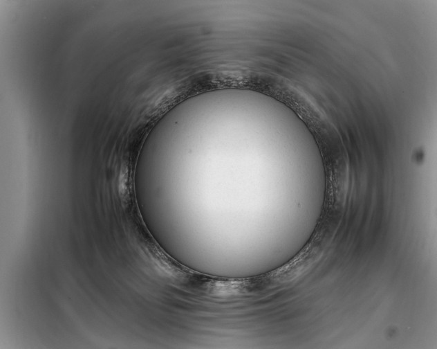 X0000097960134200804071041