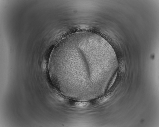 X0000097960135200804071041