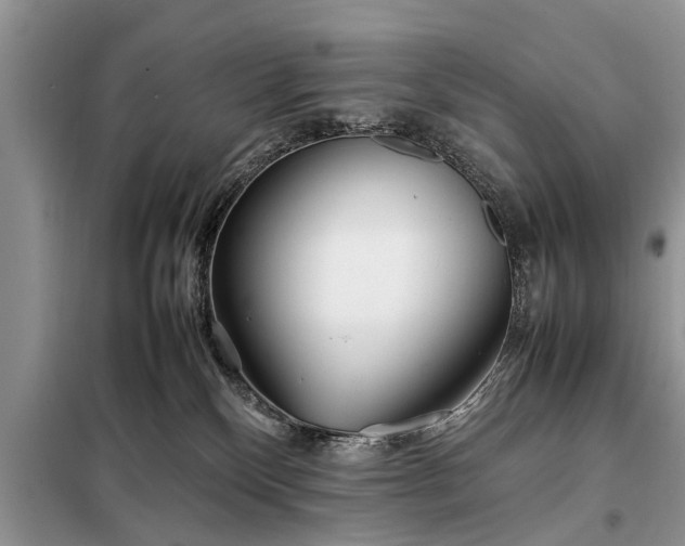 X0000097960136200804071041