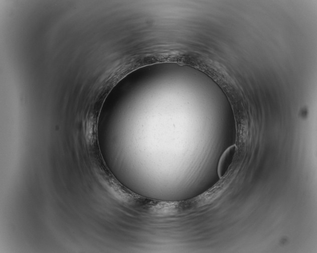 X0000097960138200804071041