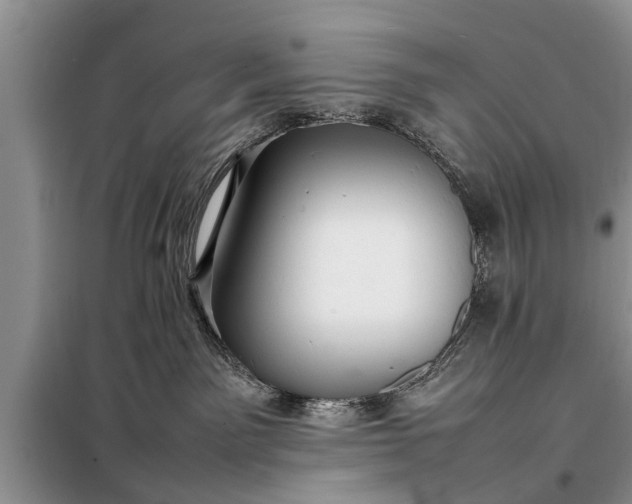 X0000097960141200804071041