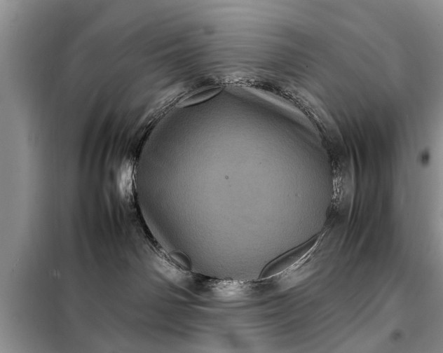 X0000097960142200804071041