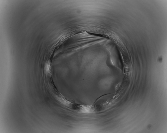 X0000097960143200804071041