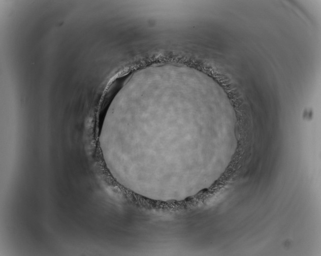 X0000097960144200804071041