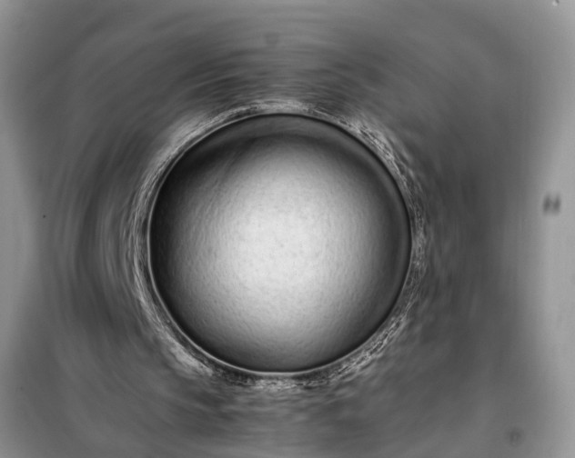 X0000097960145200804071040