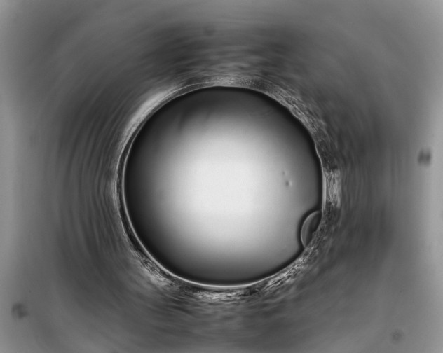 X0000097960147200804071040